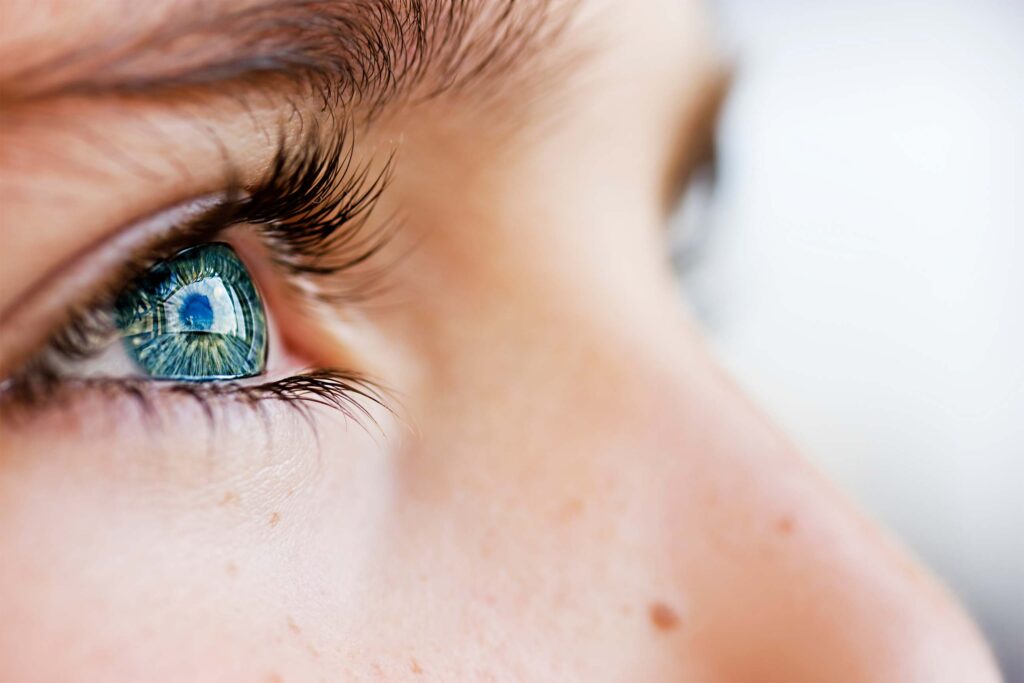 Vision
